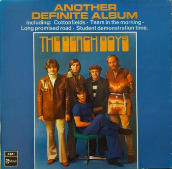 The Beach Boys - Another Definite Album   (LP)
