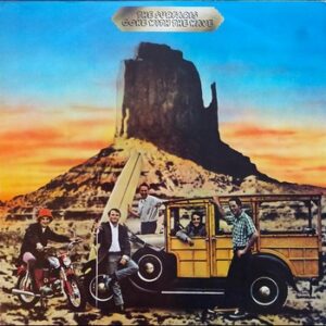 The Surfaris - Gone with the Wave   (LP)