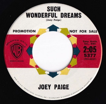 Joey Paige - Surfer from Tennessee (7") - Image 3