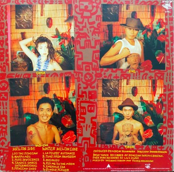 Snakeman Show - Pithecan Thropus Erectus (LP) - Image 2