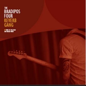 The Bradipos IV - Reverb Gang, 30 years of Gigs, Miles and Wasted Money   (2LP)