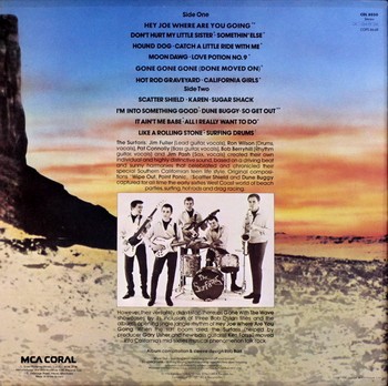 The Surfaris - Gone with the Wave (LP) - Image 2